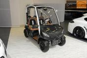 Hier klicken, um das Foto des WR_Mansory Golfcart '2011 (1).jpg 125.2K, zu vergrern