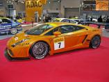 Hier klicken, um das Foto des Lamborghini Gallardo GT Masters '2007.jpg 168.9K, zu vergrern