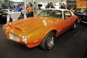 Hier klicken, um das Foto des Pontiac Firebird Esprit '1972.jpg 149.1K, zu vergrößern