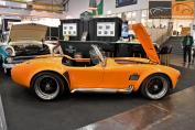 Hier klicken, um das Foto des Phoenix Cobra 8.0 VIN.TP967392020 '1993.jpg 164.0K, zu vergrößern